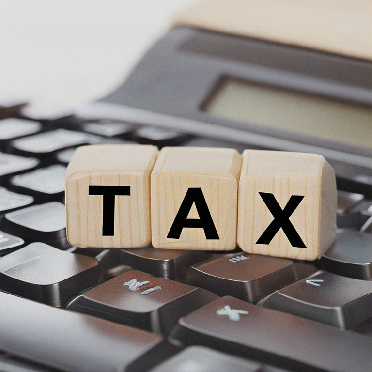 Online tax payment portal for direct tax and government payment services